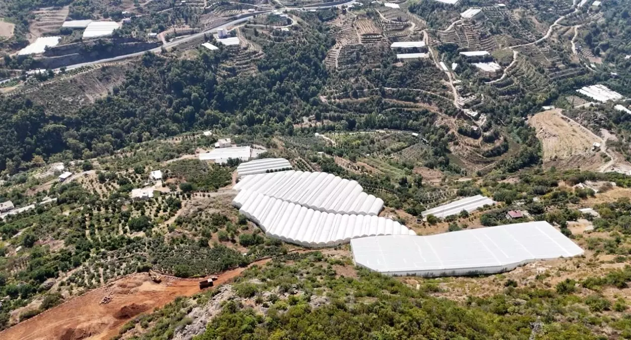 alanyada tropikal meyve uretimi 6qBUhUAl