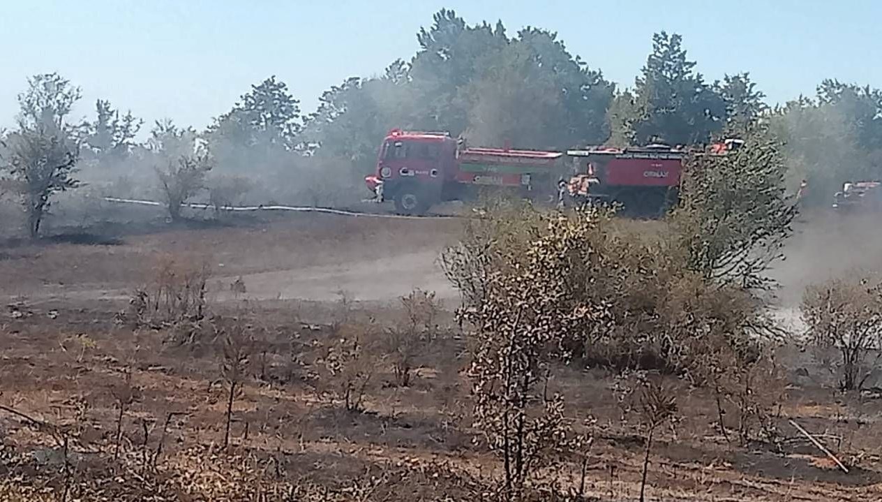 bilecikte arazi yangini Rv1Z3NFp