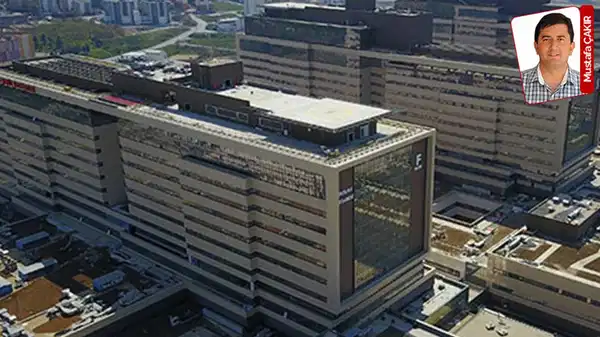 koi projeleri elestirilere ragmen hiz kesmeden devam ediyor garantiye devam vc8biZGU