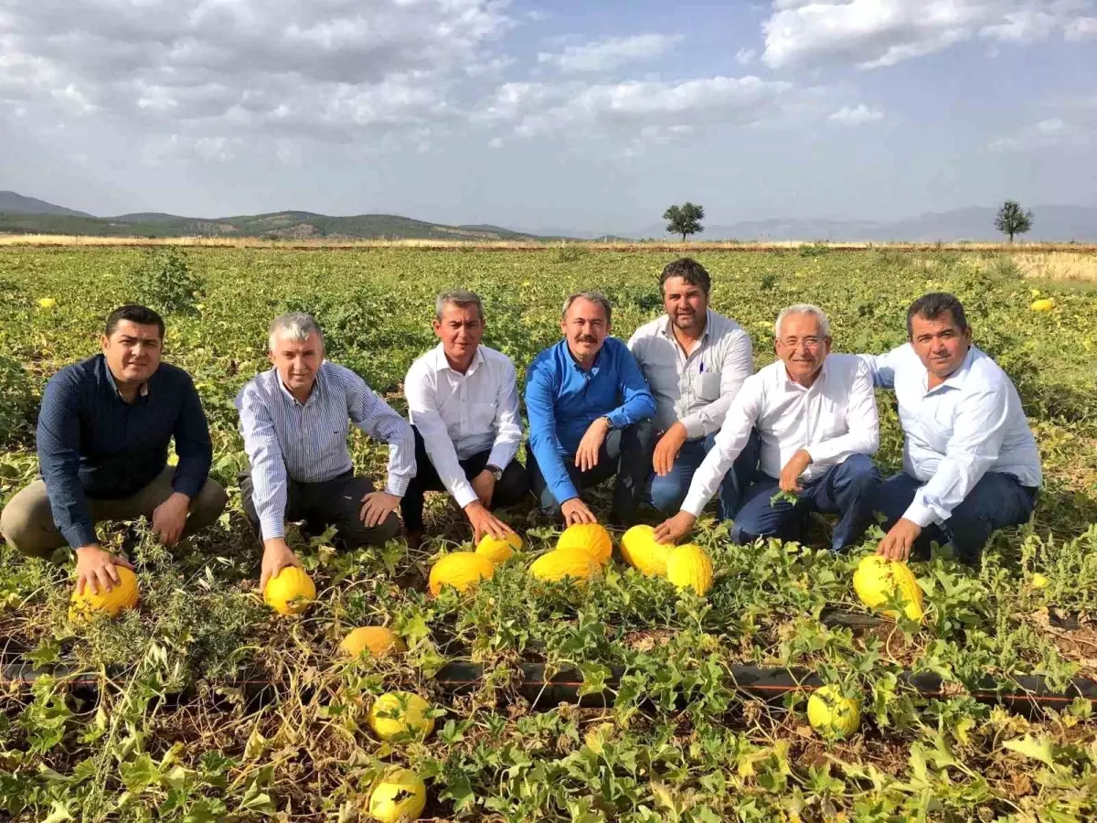 acipayam kavunu cografi isaretle tescillendi yIfQn6sf.jpg