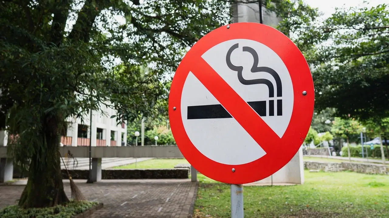 boluda cocuk parklarinda sigara icmek yasaklanacak KHGubTbr.jpg