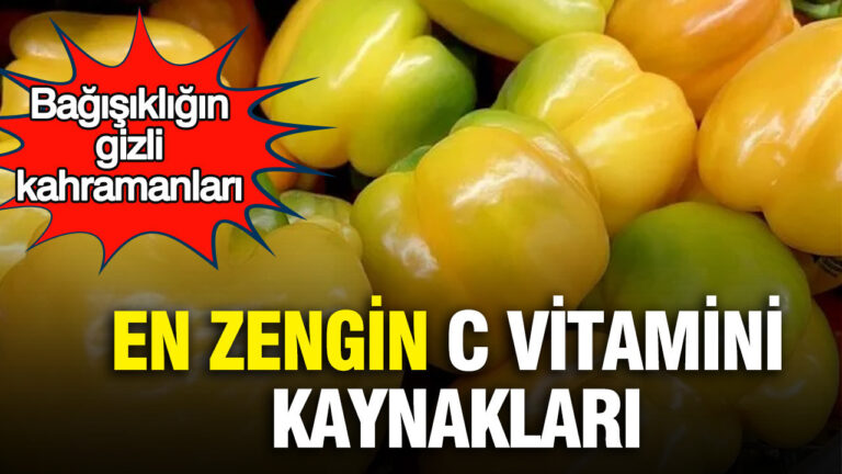 bagisikligin-gizli-kahramanlari-en-zengin-c-vitamini-kaynaklari-AW3m6RDy